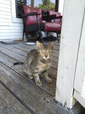 Raymond's Barber Shop