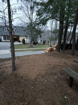 Best Cut Tree Service And Landscaping