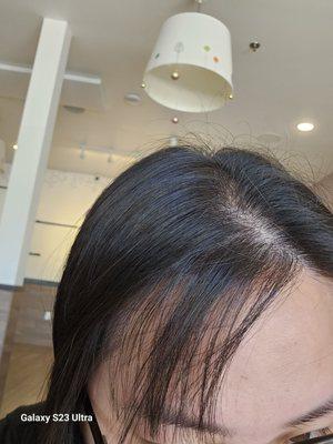 Fine Cuts beauty salon