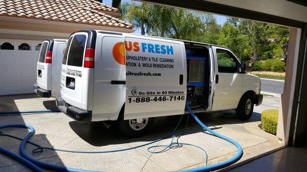Citrus Fresh Carpet Cleaners