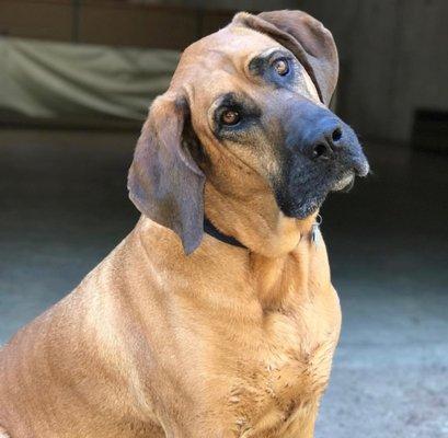 Jackie's Play and Stay