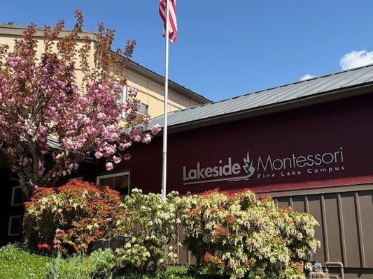 Lakeside Montessori School