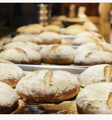 Amalfi's Kitchen & Bar