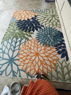 Ayla's Acres Thrift Shop