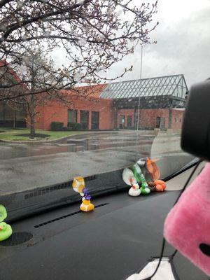 Buffalo Medical Group Imaging Services