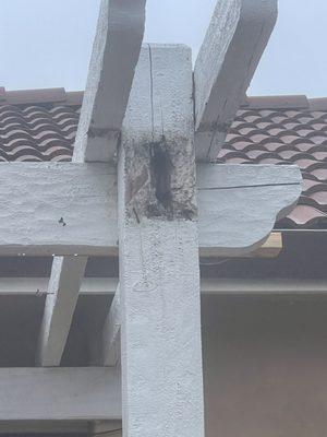 Master Care Services