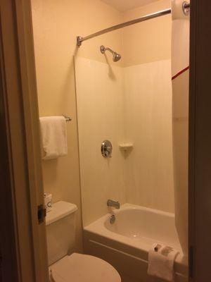 Full bath and shower