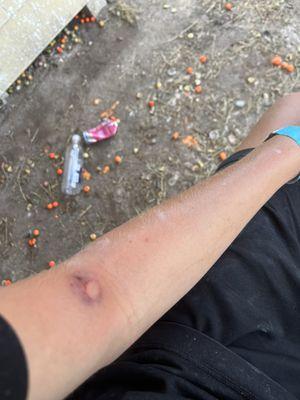 Paintball Charleston