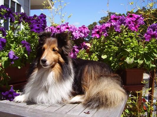 Additional Touch Spalon