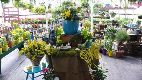 Paulette's Potting Shed