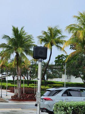 ArtsPark At Young Circle