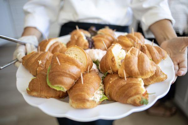 PartyScapes Unlimited