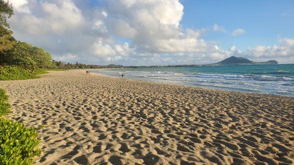 Pacific Massage Group