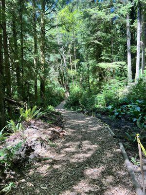 Friends of Wildwoods