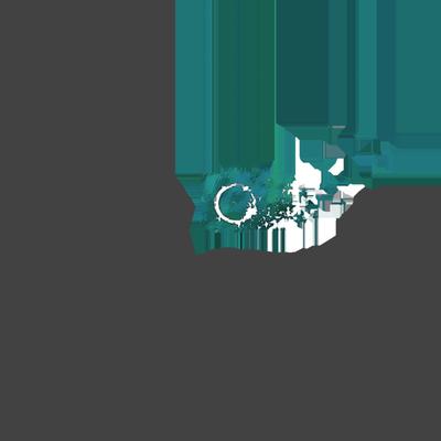 Tiffany Dawson Photography