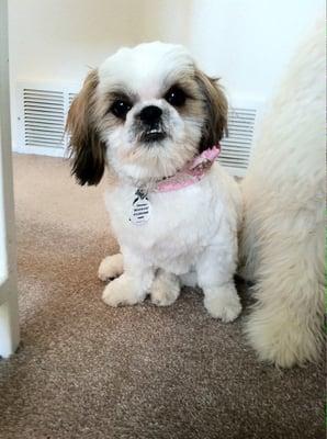 Seriously though, look at how freaking bad his haircut was!!