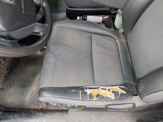 Preciado’s Upholstery