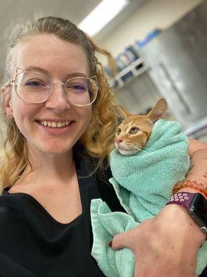 Courthouse Veterinary Clinic