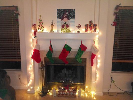 The AMYzing Home Helper