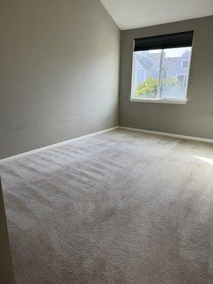 Green House Cleaning Service