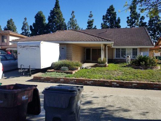 MR Professional Painting