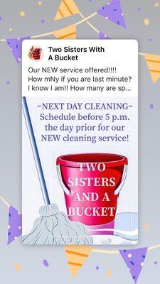 Two Sisters With A Bucket