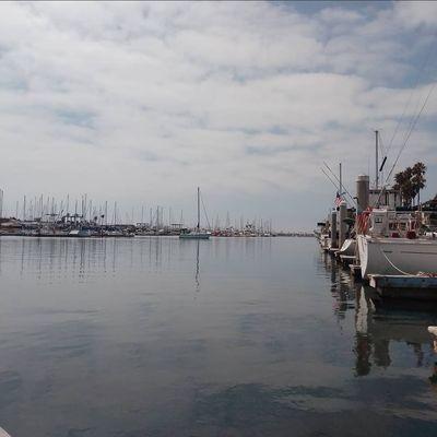 Ready Rick's Underwater Services