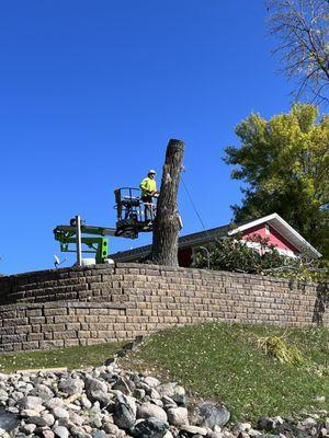 Klimek's Tree Service