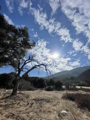 Recent photo (from 2nd visit).