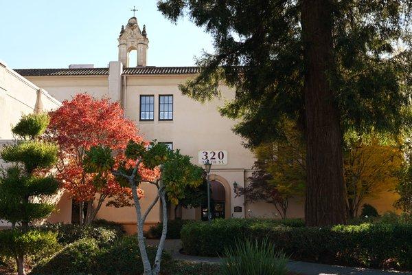 Lomi Psychotherapy Clinic