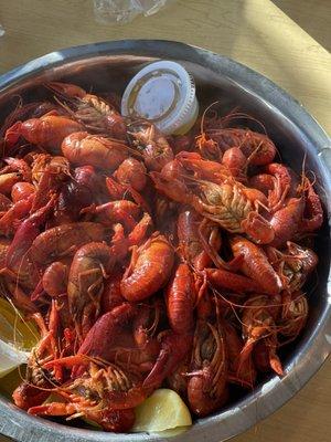 Crawfish