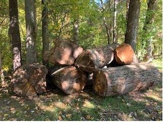 S & J Tree Service, Landscaping, Snow Removal