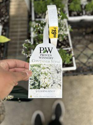 Cerbo's Parsippany Greenhouse