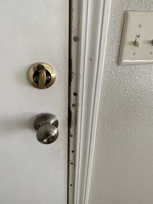Damaged door