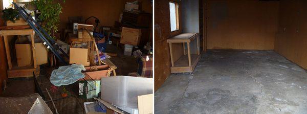 King's Property And Eviction Services