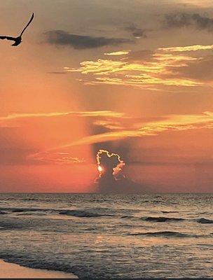 Sunshine Moving Service's