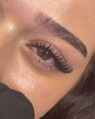 3D Eyelash Beauty