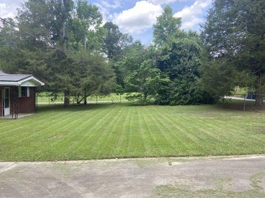 Top Dawg Landscaping