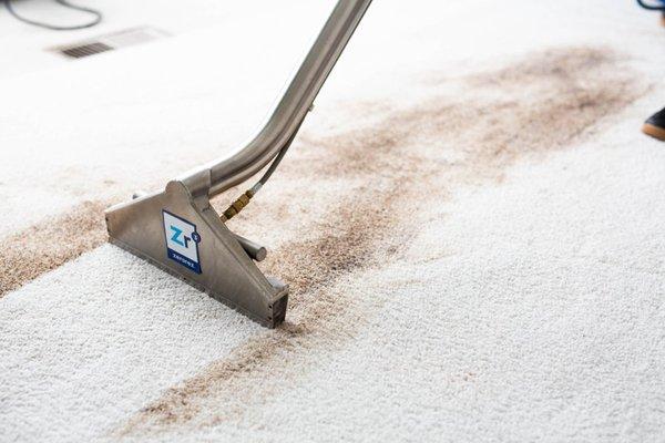 Asure Carpet Cleaning Services