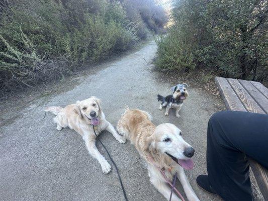 Hellhole Canyon County Preserve