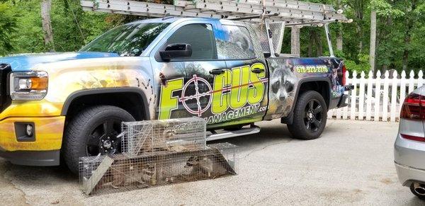 Focus Pest Management