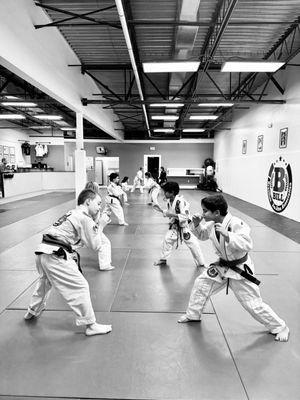 Bill Brazilian Jiu-Jitsu Association