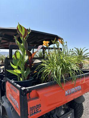 French Valley Nursery LLC