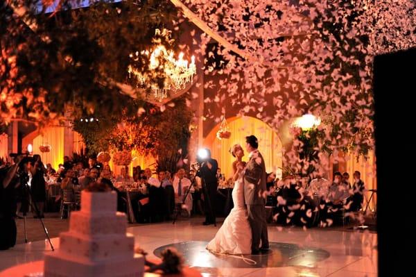 Butterfly release during their first dance as husband and wife