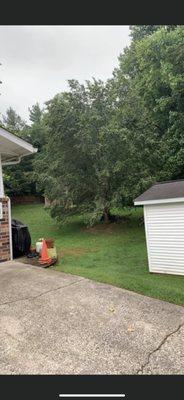 D & S Stump Removal & Landscaping