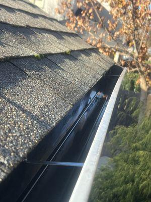 Rapp's Handyman Services