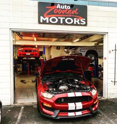Auto Zooded Motors