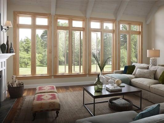 Silicon Valley Windows