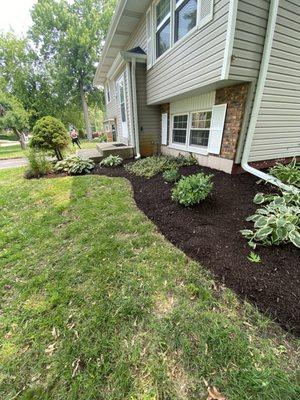 CMG Landscaping Services
