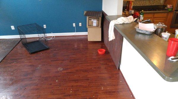 Would let dogs roam in their own feces. Just sickens me what he did to those unknowing dog owners.